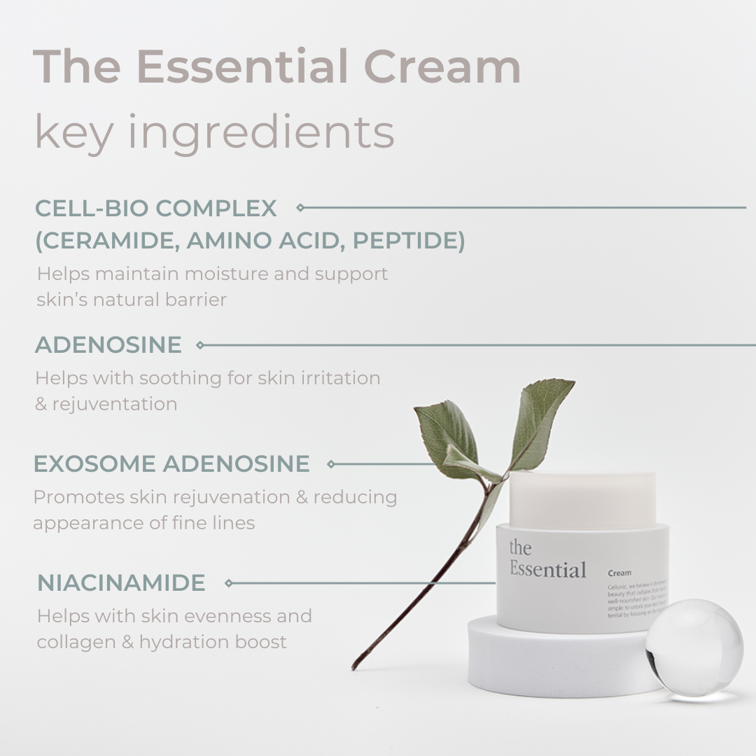 The Essential Vital Skin Set