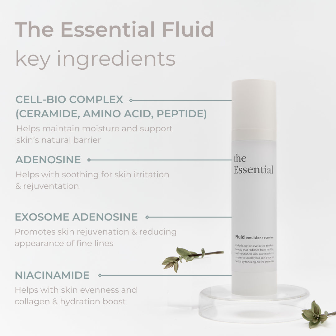 The Essential Fluid